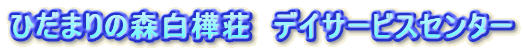 ひだまりの森白樺荘 デイサービスセンター